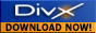 DivX Codec v 5.5 Pro Download